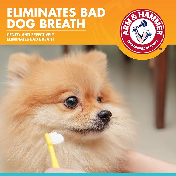 Arm & Hammer for Pets Fresh Breath Enzymatic Dog Toothpaste Chicken Flavor - Image 2