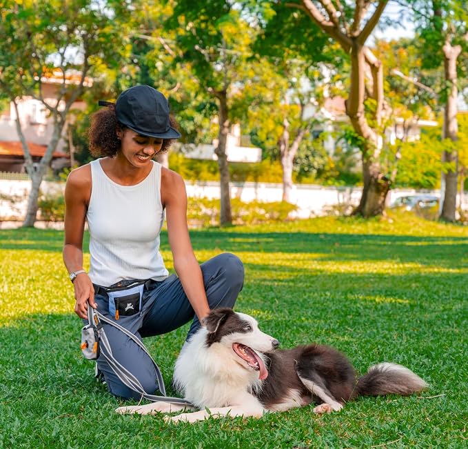 OllyDog, Goodie Treat Bag, Dog Treat Training Pouch | Magnetic Closure | 3 Ways - Image 2