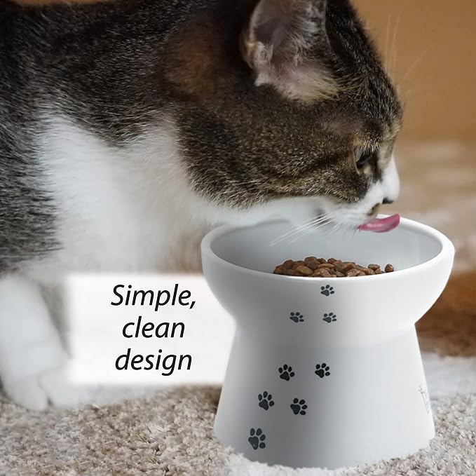 Necoichi Raised Cat Food Bowl – Ceramic Elevated Cat Bowl - Image 2