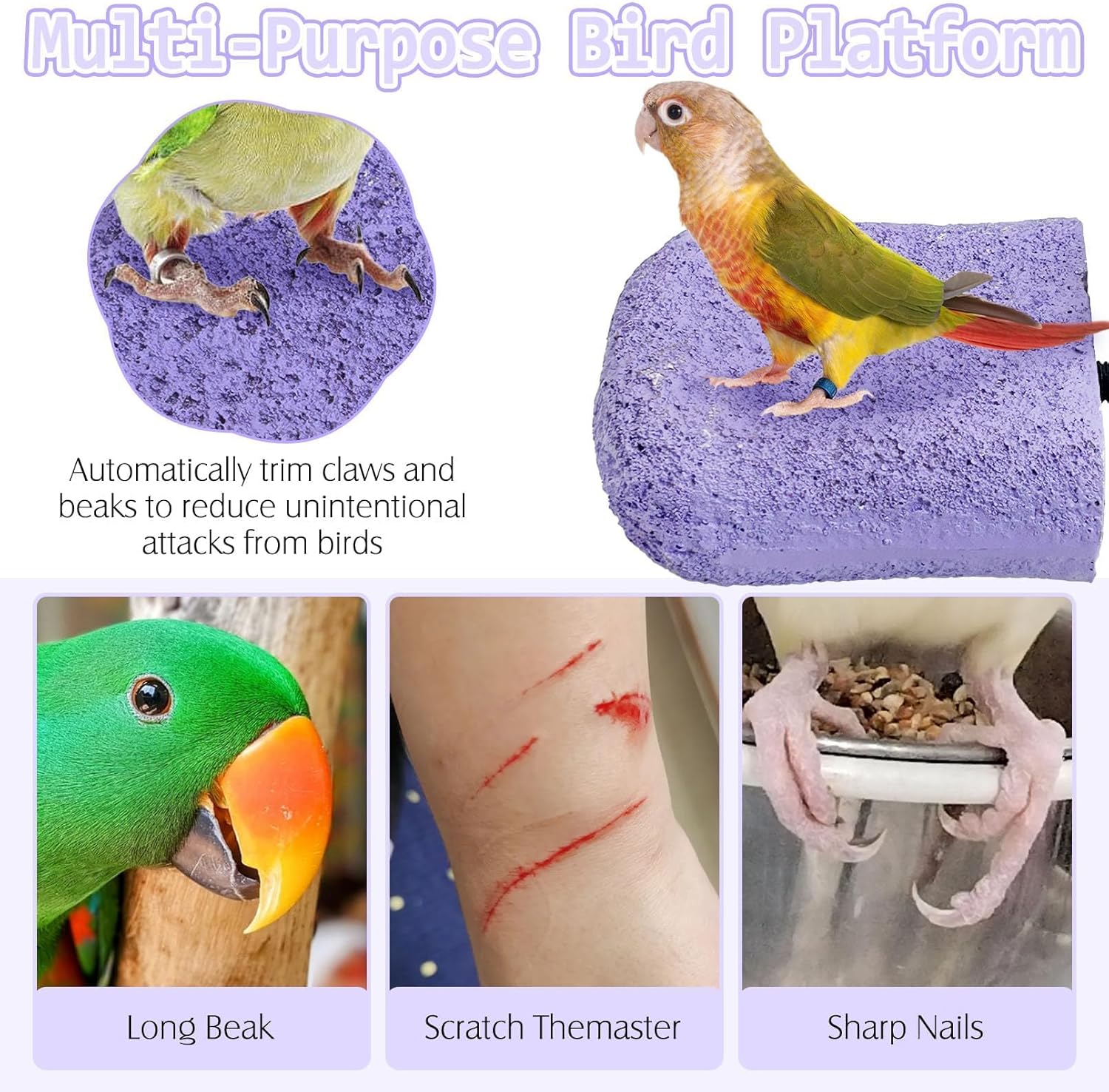 PINVNBY 5 Pack Bird Perch Resin Bird Beak Grinding Stone Parrot Cage Perch Stand Platform Foot Claws Trimmer Chew Toy Bird Cage Accessories for Budgie Cockatiel Conure Lovebird Finch (Purple)