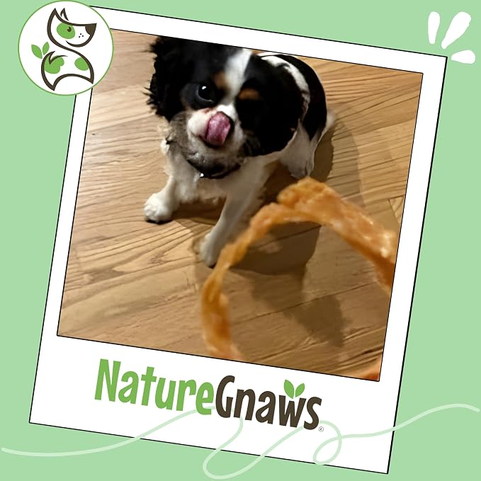 Nature Gnaws USA Turkey Tendon Rings - Image 6