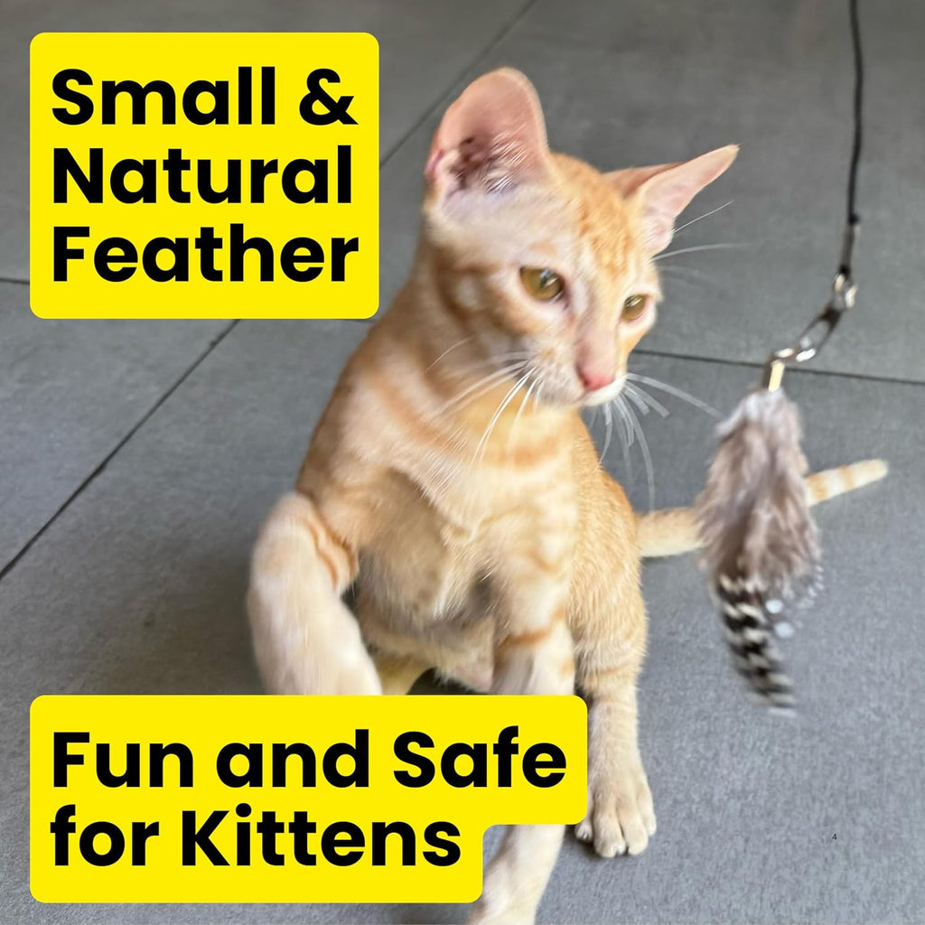 Feather Toys Replacements (3 Pc) - Cat Toys & Kitten Toys for Indoor Kittens, Set of Replacement Feather Attachments Extra Small and Durable, for Cat Wands, Natural and Safe
