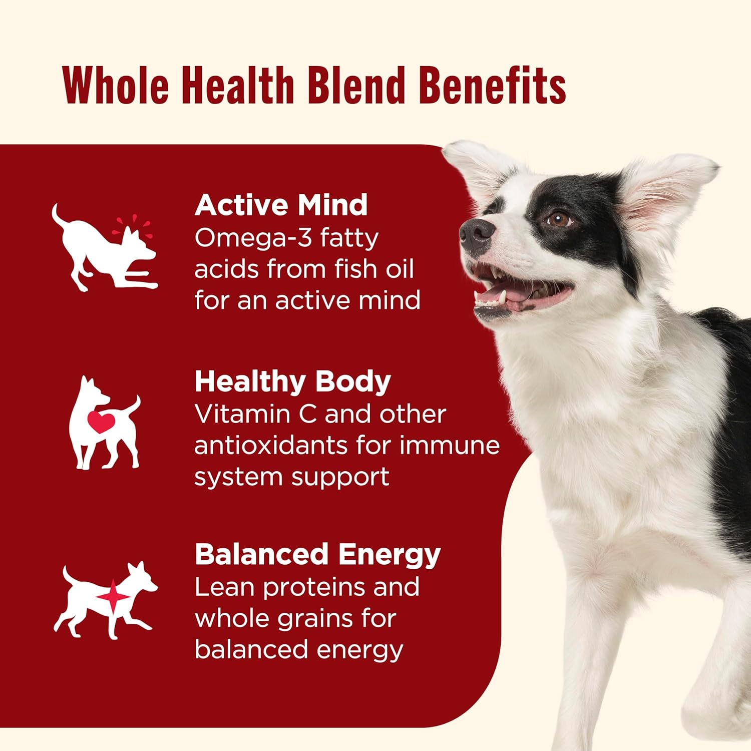 Nutrish Dry Dog Food, Real Beef, Pea & Brown Rice Recipe Whole Health Blend for Adult Dogs, 28 lb. Bag, Packaging May Vary (Rachael Ray)