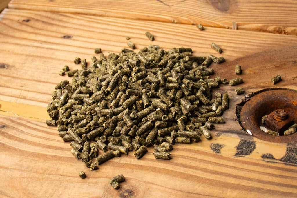 New Country Organics | Loyalty Senior Horse Pellets for Horses 15+ Years Old | Corn-Free and Soy-Free | 16% Protein | Certified Organic and Non-GMO | Nutrition for Senior Horses 40 lbs | Grain Feed