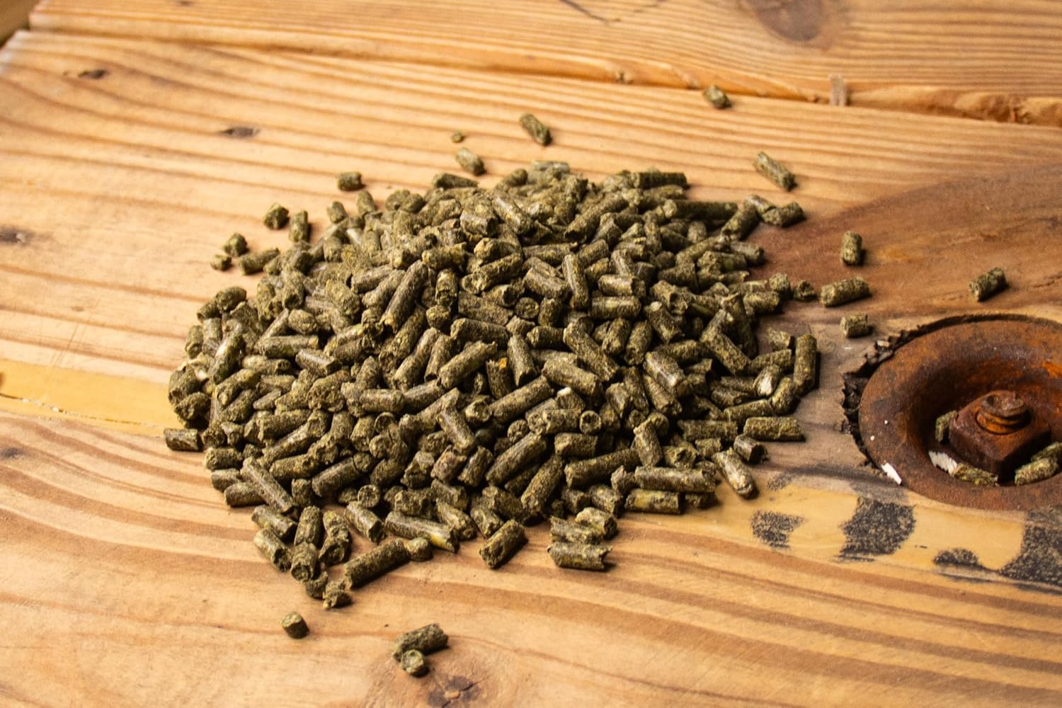 New Country Organics | Loyalty Senior Horse Pellets for Horses 15+ Years Old | Corn-Free and Soy-Free | 16% Protein | Certified Organic and Non-GMO | Nutrition for Senior Horses 40 lbs | Grain Feed