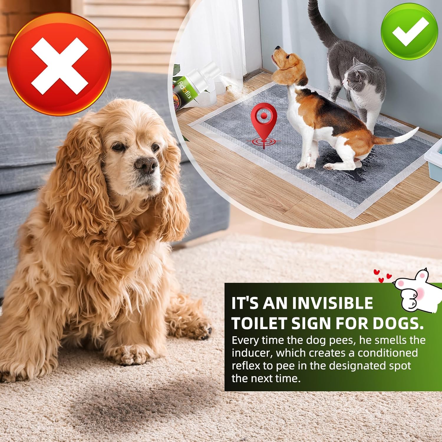 Dog Potty Training Spray for Dogs and Puppies - Go Here Attractant Spray to Pee and Poop in One Spot,Safe & Effective Puppy Pee Spray Indoor & Outdoor-Dog Training & Housebreaking Aid -100ml