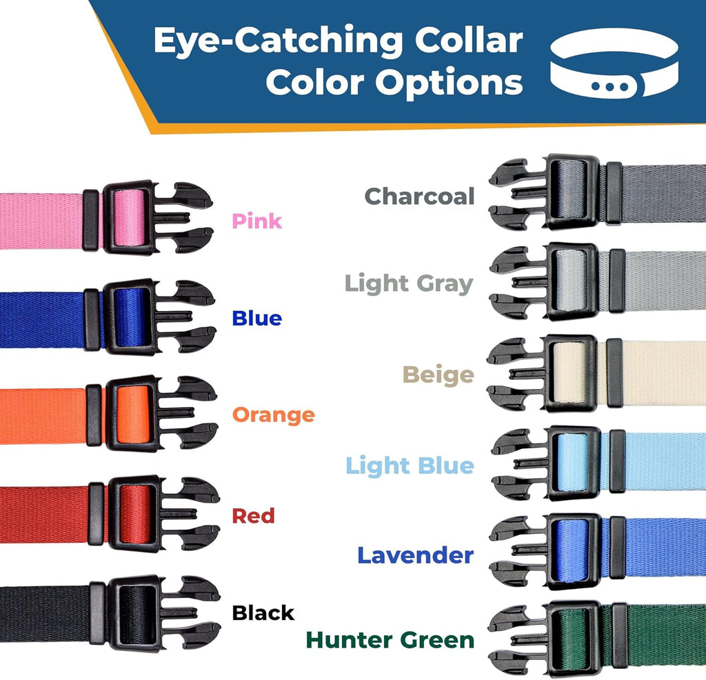 GoTags Reflective Personalized Dog Collar with Nameplate, Adjustable Dog Collar with Custom Engraved Steel Slide On Pet ID Tag, Silent, No Noise Dog Tag for Large Medium or Small (Hunter Green, Small)