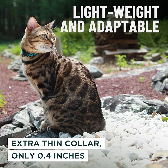 OutdoorBengal Pink Breakaway Kitten Collar - Image 6