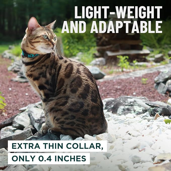 OutdoorBengal Blue Breakaway Kitten Collar - Image 6