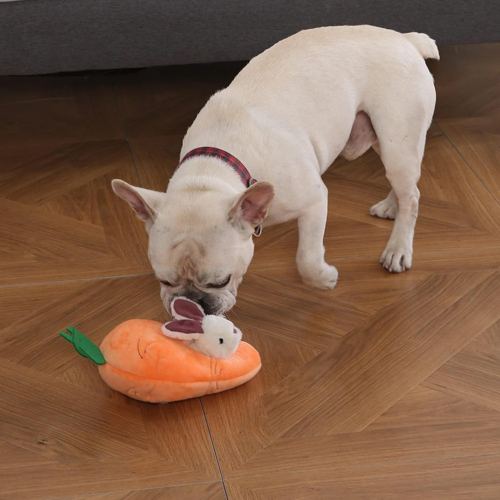 Amazon Basics Interactive Hide and Seek Squeaky Dog Plush Toy, Rabbit and Carrot, Orange and White, 5-Pack