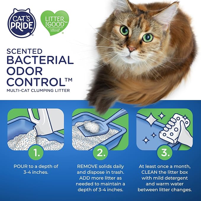 Cat's Pride Max Power: Bacterial Odor Control - Image 7