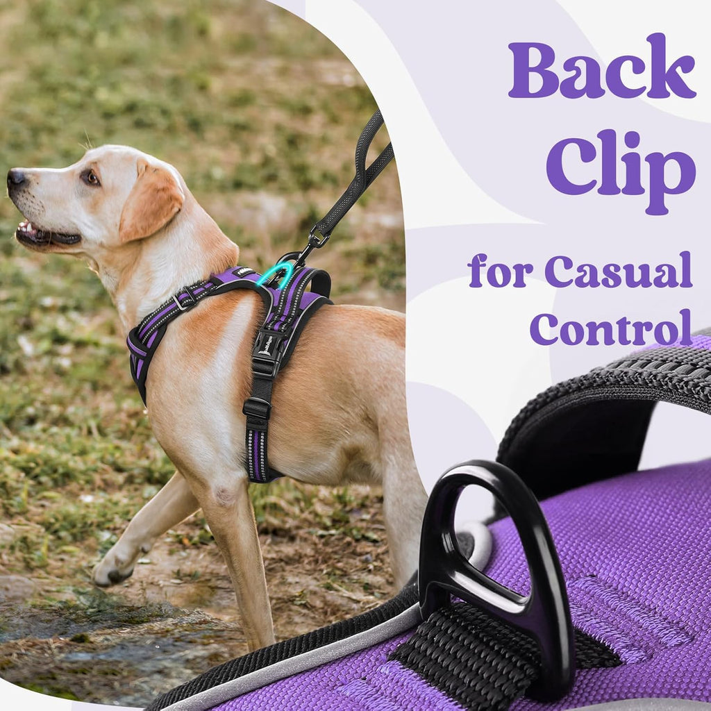 rabbitgoo Dog Harness for Large, No Pull Pet Harness with 3 Buckles, Adjustable Soft Padded Vest with Control Handle, Walking Reflective Pet Vest for Large Dogs, Purple, L