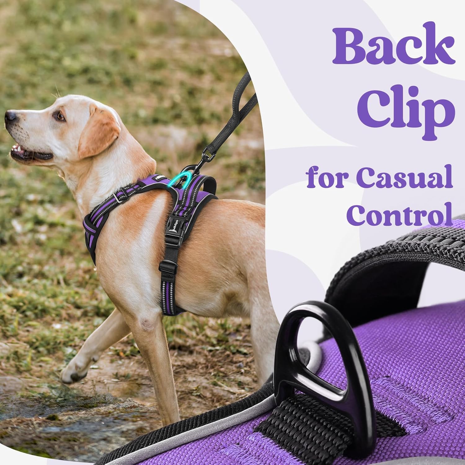 rabbitgoo Dog Harness Medium Sized, No Pull Pet Harness with 3 Buckles, Adjustable Soft Padded Vest with Control Handle, Walking Reflective Pet Vest for Medium Dogs, Purple, M