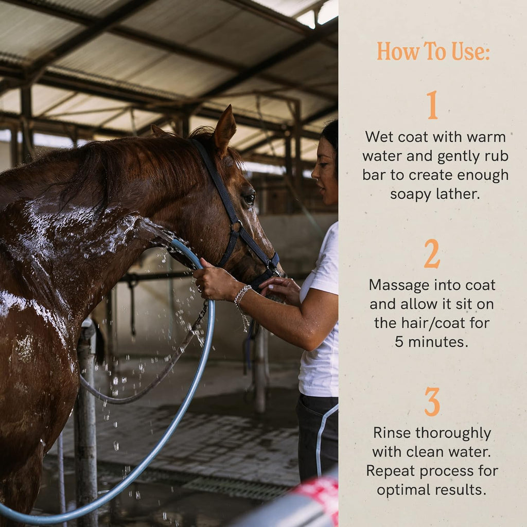 J·R·LIGGETT'S Botanical Horse Liquid Shampoo for Sensitive Skin | Hypoallergenic Biodegradable Shampoo Formula for Horses | 100% Eco-Friendly | Detergent-Free Horse Supply | 16.9fl.oz
