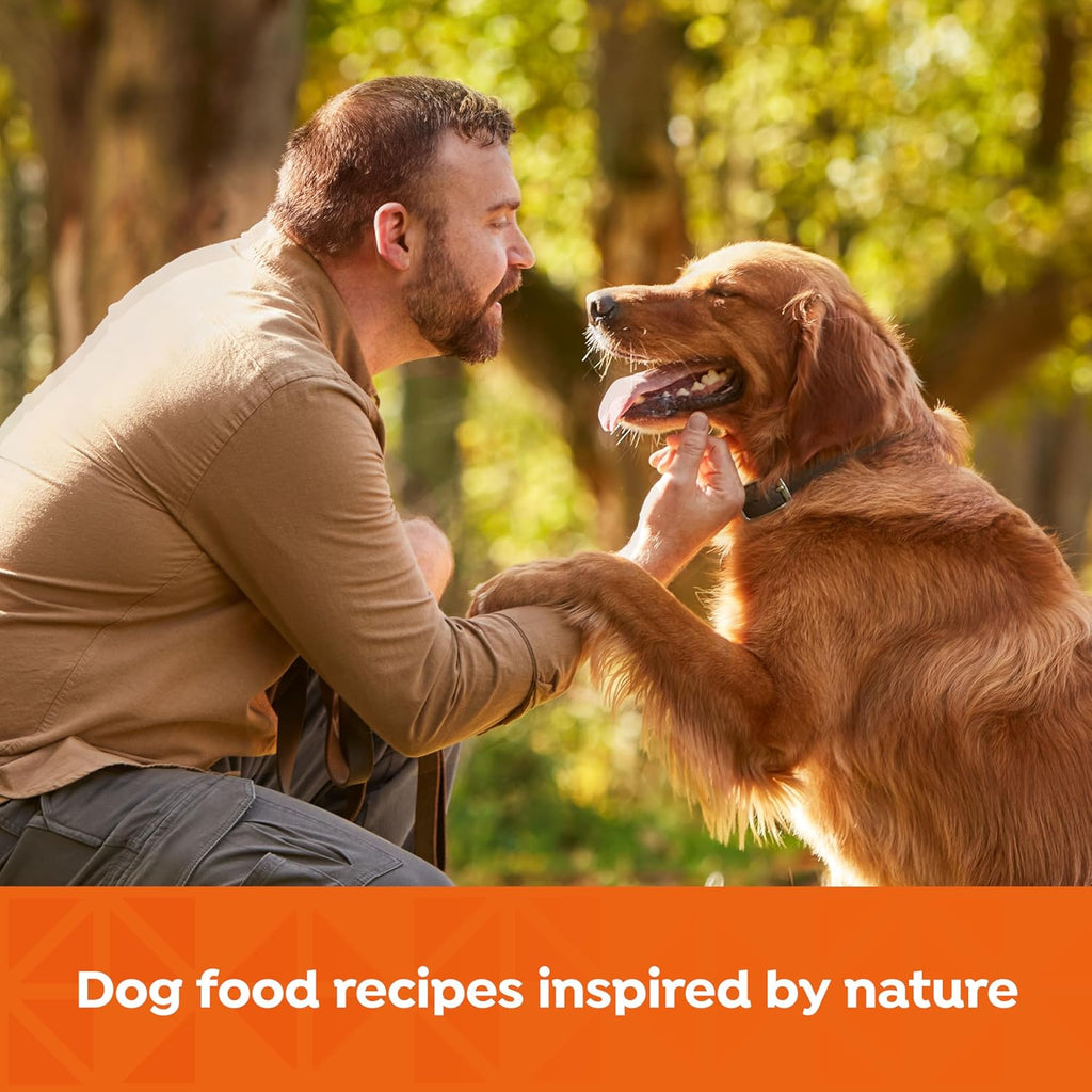 Nature's Recipe Grain Free Chicken, Sweet Potato, and Pumpkin Recipe Wet Dog Food, 13 oz. Can, 12 Count