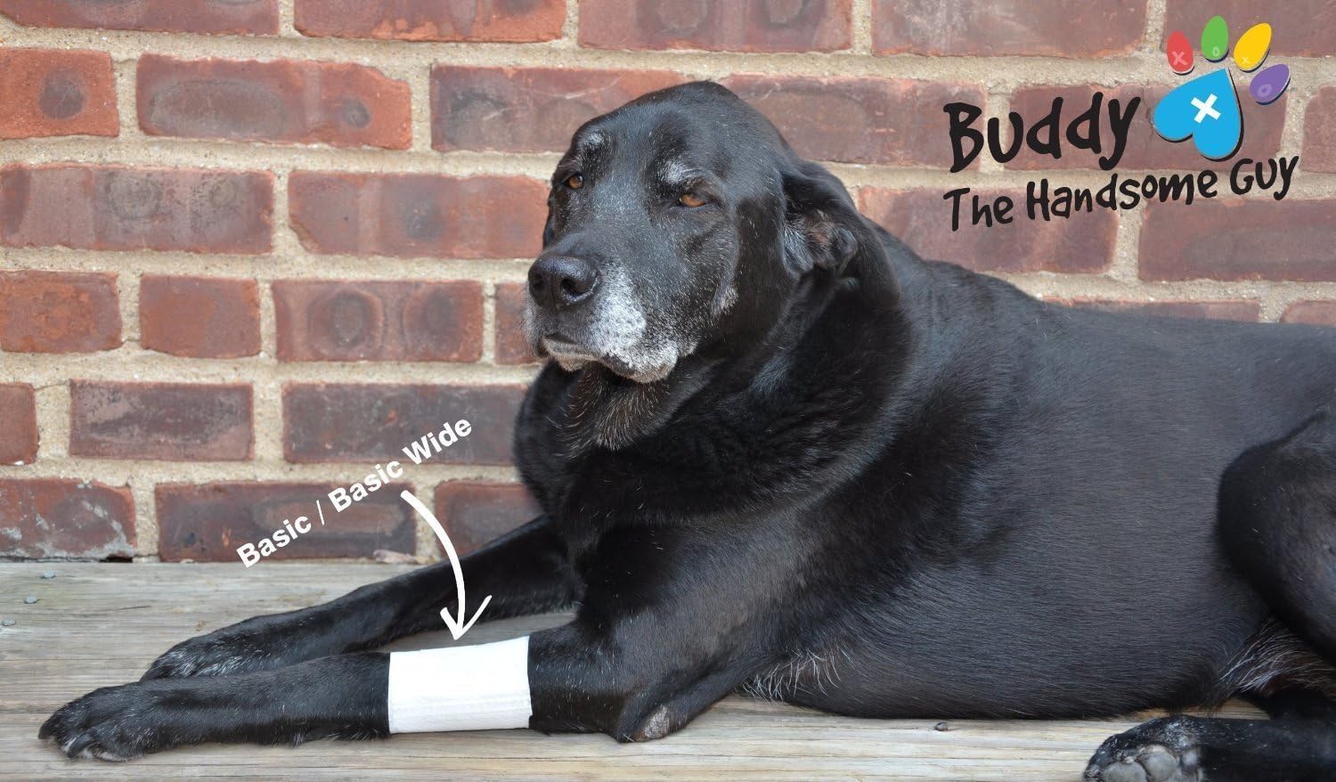 Basic Leg Bandages for Dogs, Cats and Other Pets First Aid Non-Adhesive Fur Friendly - Value 10 Pack (5 Standard, 5 Wide) by PawFlex (XX-Small)