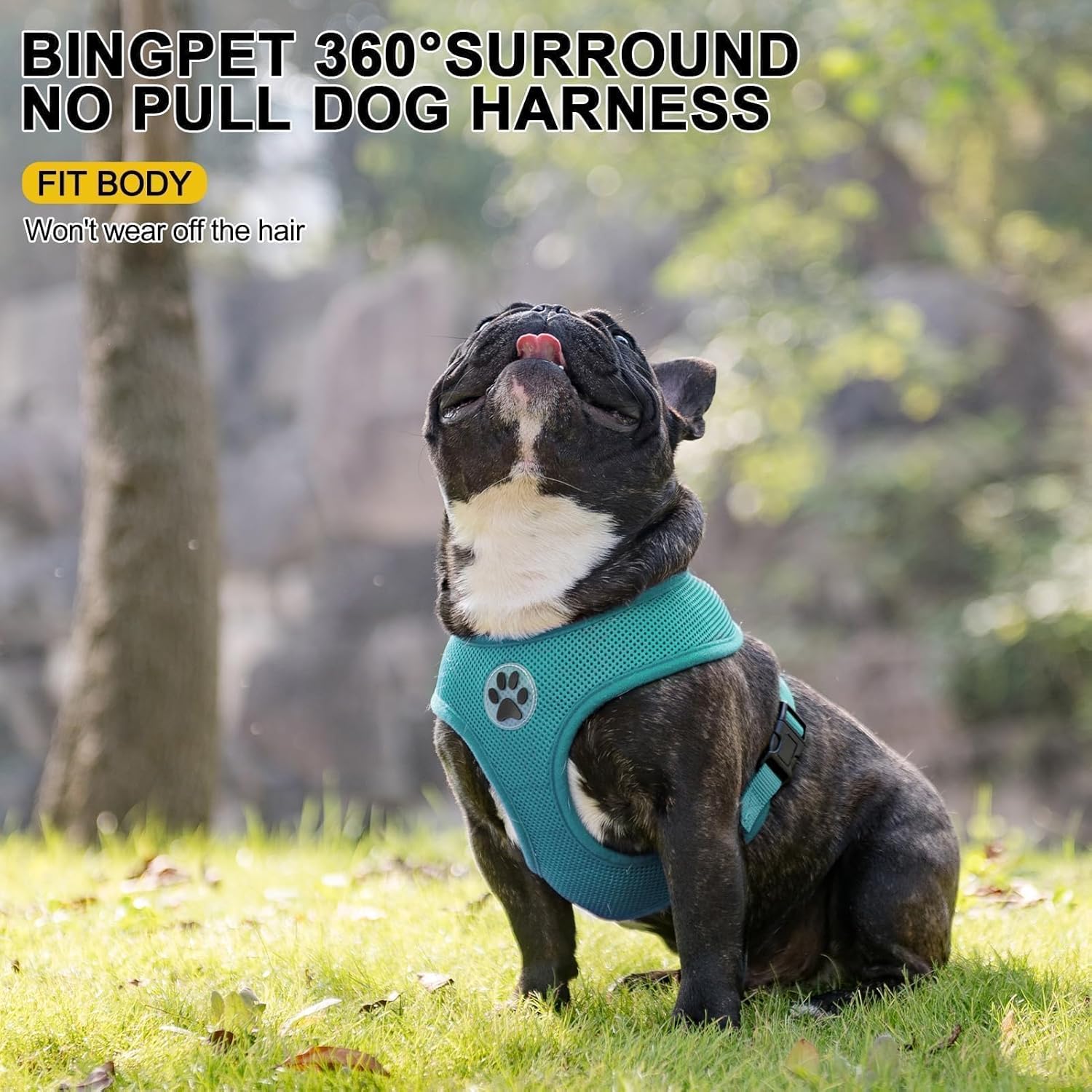 BINGPET Small Dog Harness - Breathable Mesh Puppy Cat Harnesses - No Pull Adjustable Dog Harness Dog Vest Harness for Small and Medium Dogs