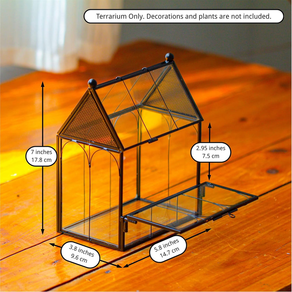 NCYP Small Glass Spider Enclosure with Mesh for Jumping Spiders, Snails, Micro House Shaped Front Opening Plant Terrarium, Home Decor Black, 5.8" x 3.8" x 7" (Terrarium Only)