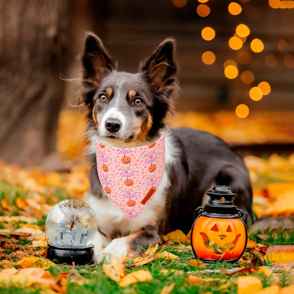 ADOGGYGO Halloween Dog Bandana, Pink Pumpkin Ghost Scarf, Adjustable Fit Female Halloween Bandanas for Medium Large Dogs Pets (Large)
