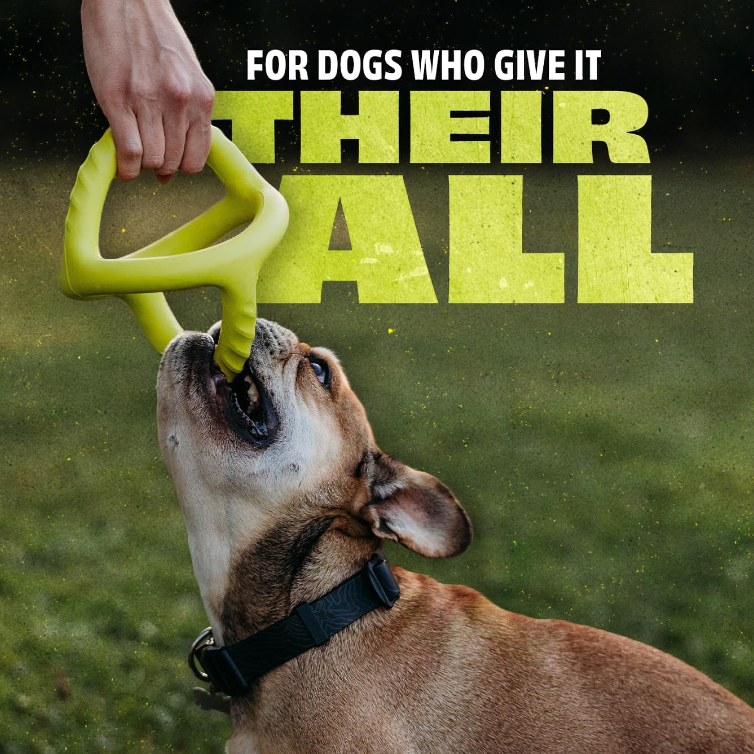 Benebone Natural Rubber Tug Interactive Dog Toy, Natural Rubber