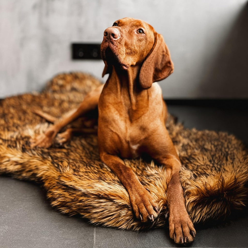 IHAPPYDOG Luxury Faux Fur Orthopedic Dog Bed, Memory Foam Dog Bed for Small, Medium, Large and XL Pets, Fluffy Pet Bed with Waterproof and Washable Cover (Brown, 50"x30")