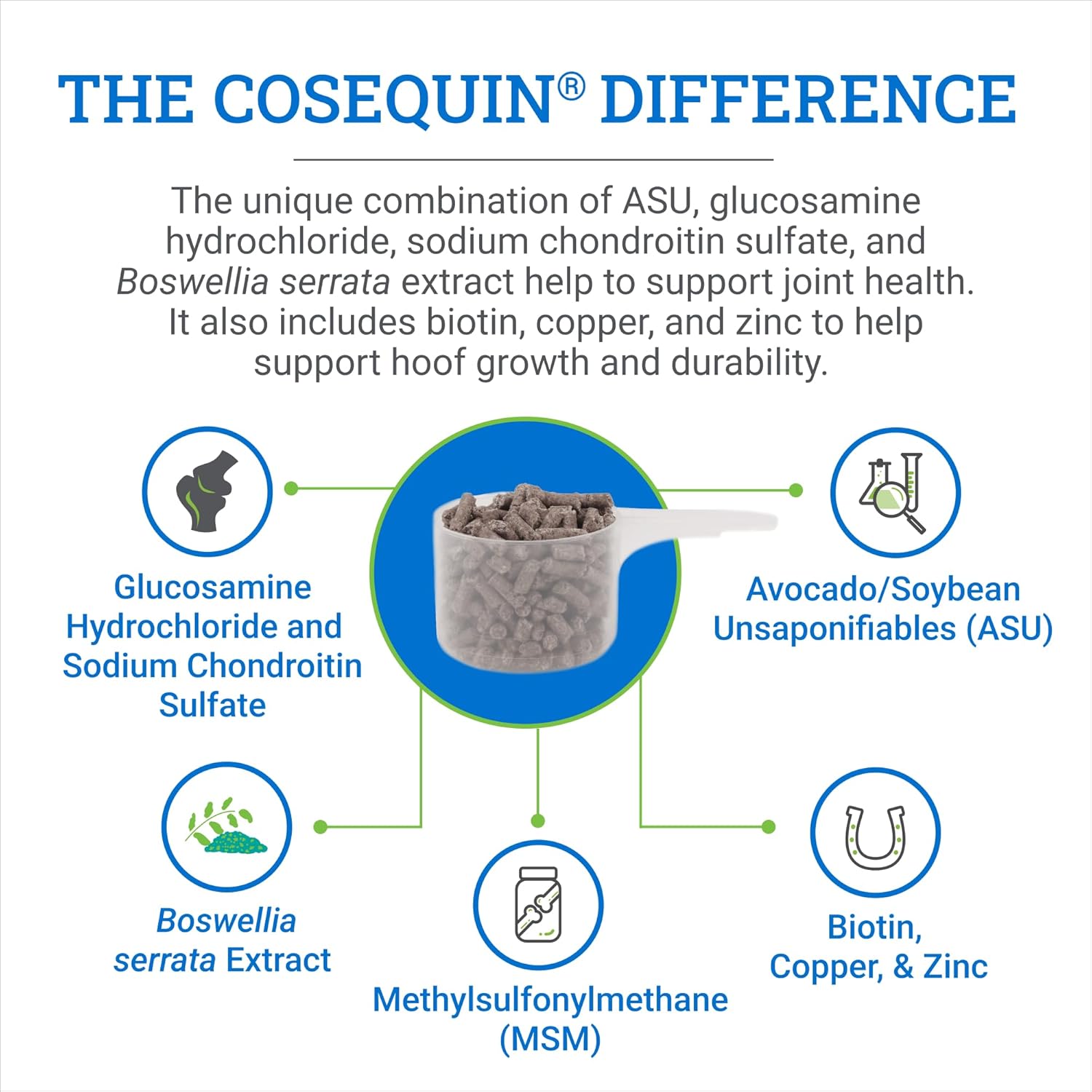 Nutramax Laboratories Cosequin ASU Joint & Hoof Pellets Joint Health Supplement for Horses - Pellets with Glucosamine, Chondroitin, MSM, and Biotin, 1200 Grams