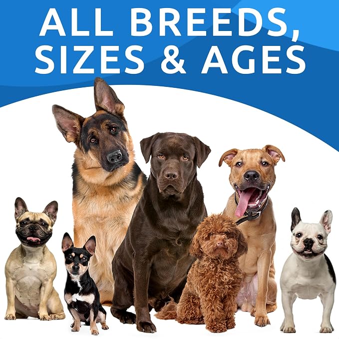 BARK&SPARK Dog Allergy Relief Soft Chews - Image 8