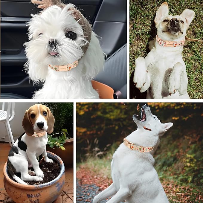 Autumn Dog Collar，Soft Cotton Handmade Pet Collar - Image 5