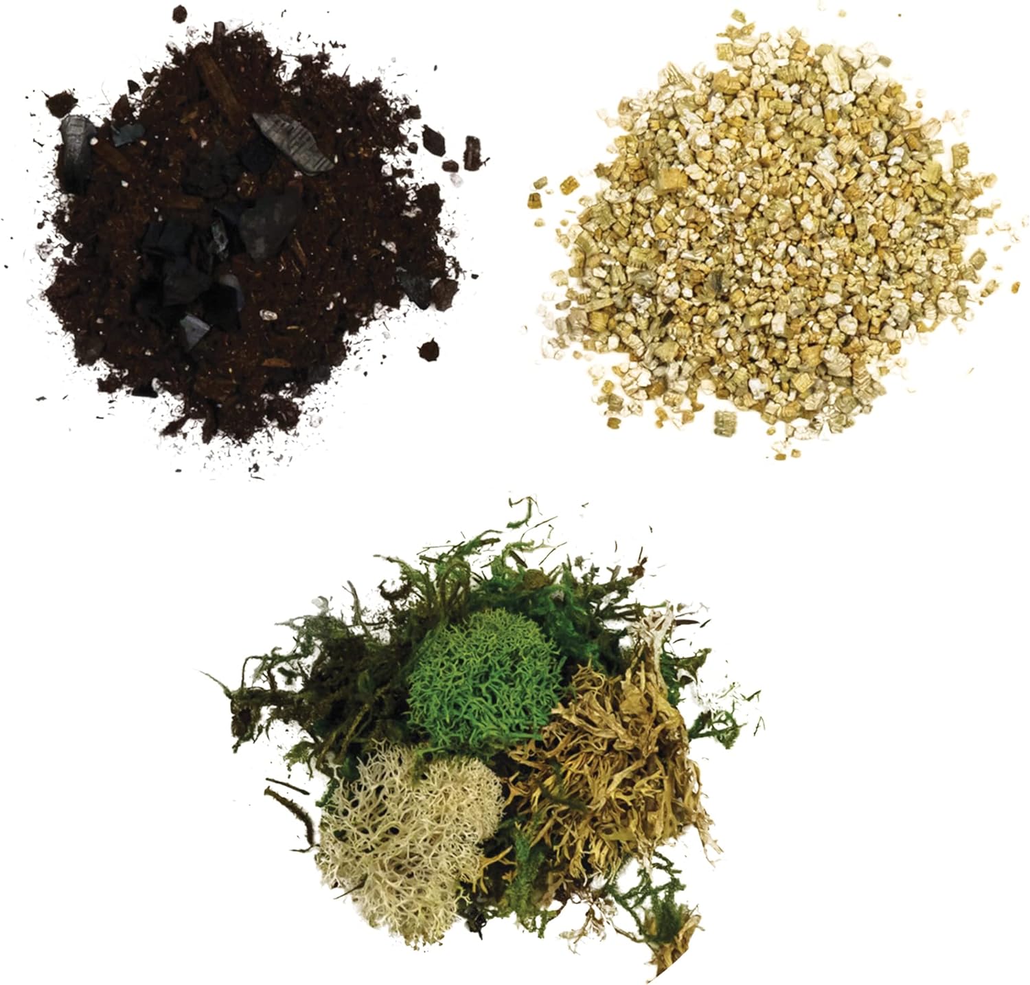 Cute Farms Terrarium Starter Kit with Glass | Moss, Vermiculite, Soil, Plant Food, Finishing Tool, Miniature Dinosaurs, Build and Care Guide