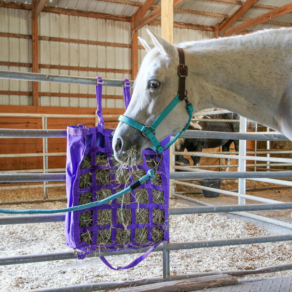 Majestic Ally Leather Halter with Matching Lead Rope for Horses – Leather Breakaway Crown - Adjustable Chin Strap – Rolled Throat Latch – Padded Noseband – Full (Red, Full)