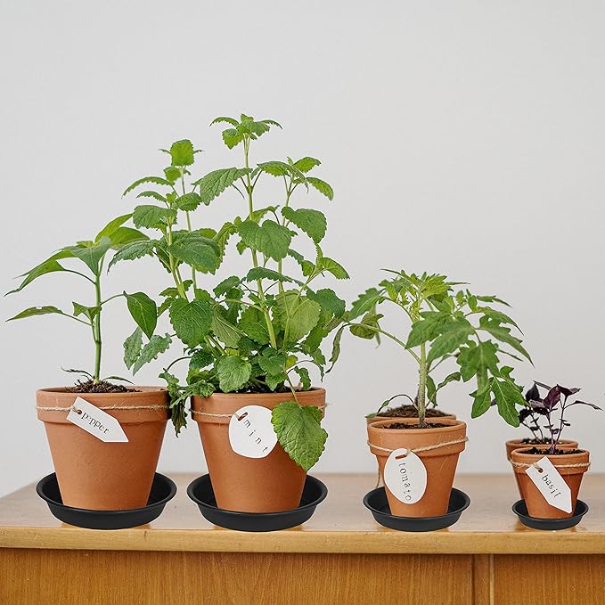 2 Pack of 8 inch Plant Saucer Clear, Heavy Duty Plastic Plant Water Tray 8 inch - Image 3