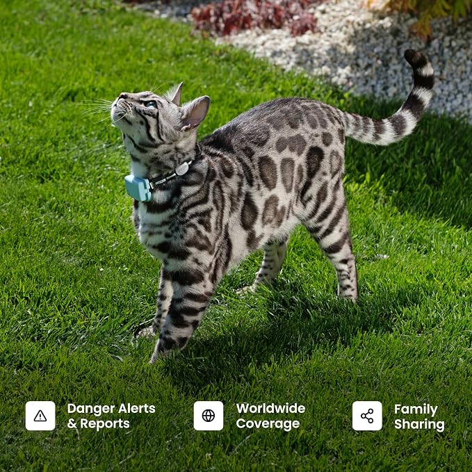 Tractive Smart Cat GPS Tracker - Image 8