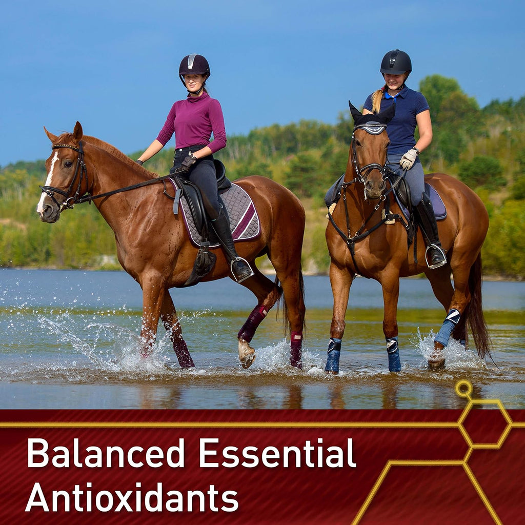 Pro E and Horse Selenium Supplement, Balanced Essential Antioxidants, 20 Pound, 320-Day Supply