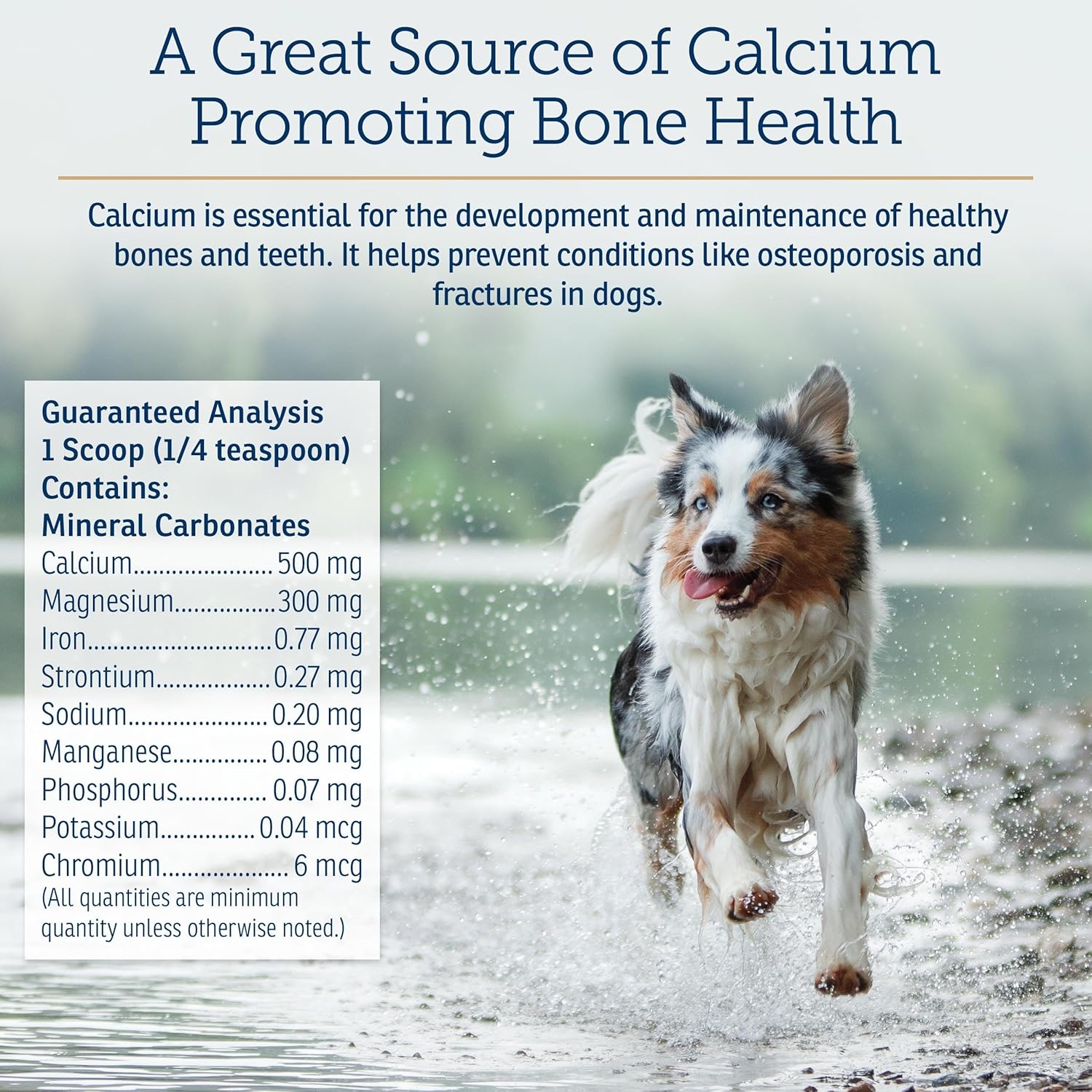 Rx Vitamins Canine Minerals - Essential Minerals for Dogs - Calcium, Magnesium, Iron Supplement, Bone and Joint Supplement for K9, Immune Support - 16oz