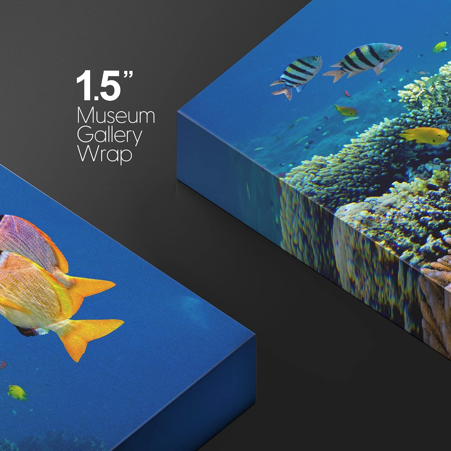 wall26 Canvas Print Wall Art Vibrant Coral Reef Underwater Panorama Nature Animals Photography Realism Rustic Scenic Landscape Wilderness Earth Colorful for Living Room, Bedroom, Office - 16"x24"