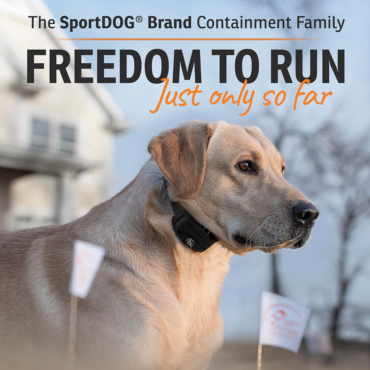 SportDOG Brand Rechargeable In-Ground Fence System - Waterproof, Rechargeable Collar with Tone, Vibrate, and Shock - Expandable to Contain Unlimited Dogs