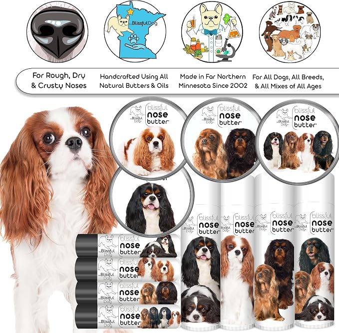 The Blissful Dog All 4 Cavalier King Charles Spaniel Unscented Nose Butter - Image 6