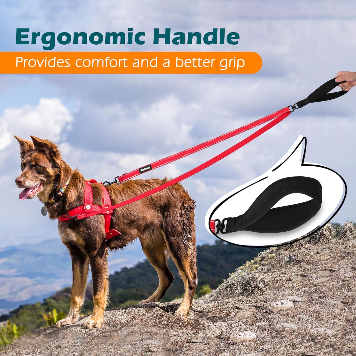 PetBonus Two Point Control Dog Leash, Works with No Pull Harnesses, No Tangle Dog Training Leashes, No Pull Padded and Reflective Walking Lead, Converts to Single Leash for Medium Large Dogs (Purple)
