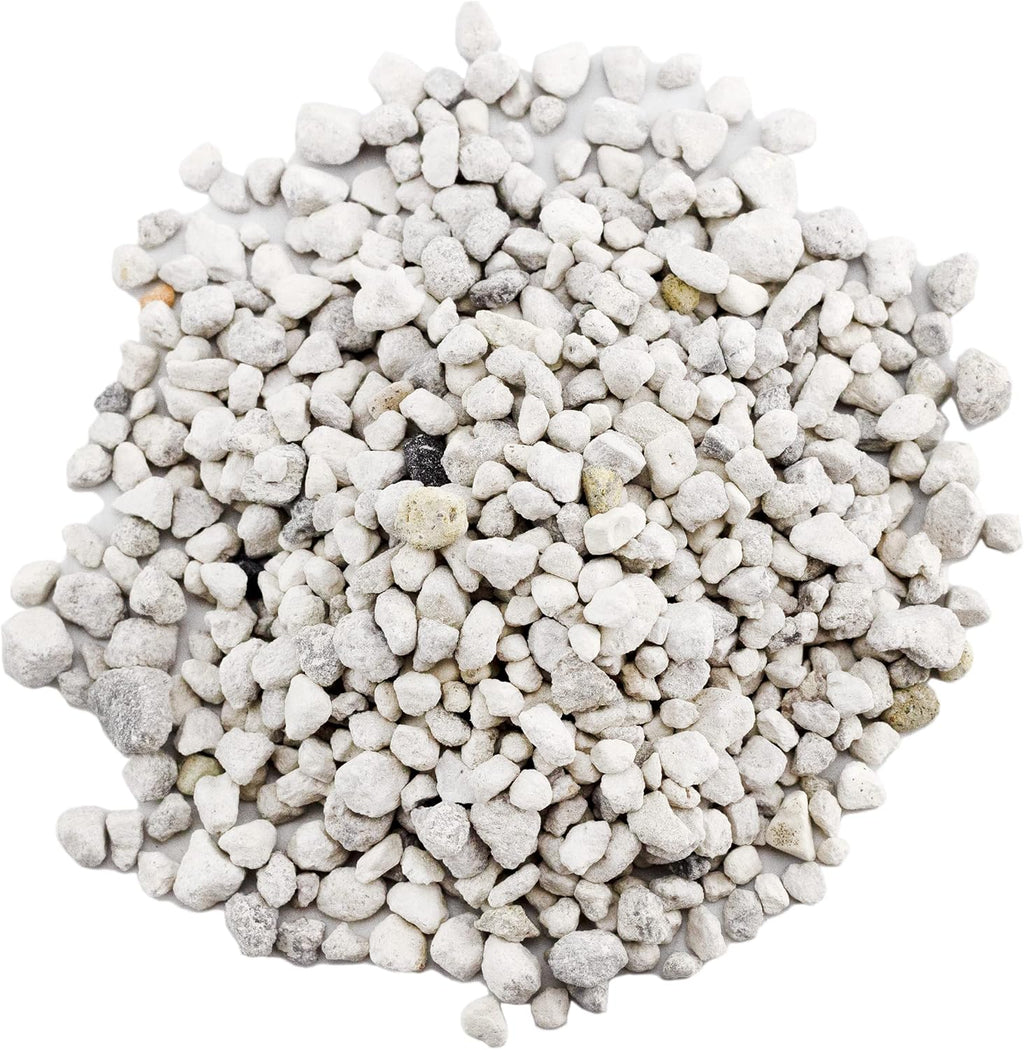 Horticultural Bonsai Pumice Soil Amendment (2 LB), Supplement for Bonsai and Cactus Indoor Plants
