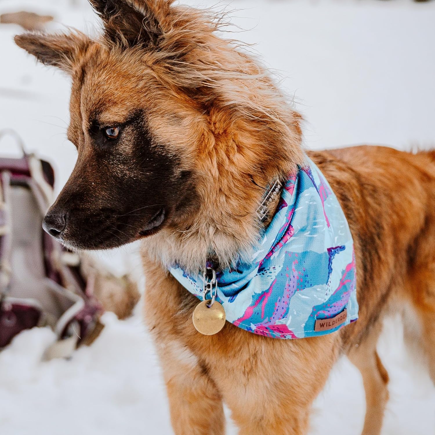 Wilderdog Dog Bandana with Lightweight Quick Drying Poly-Blend Mesh Material in Alpenglow
