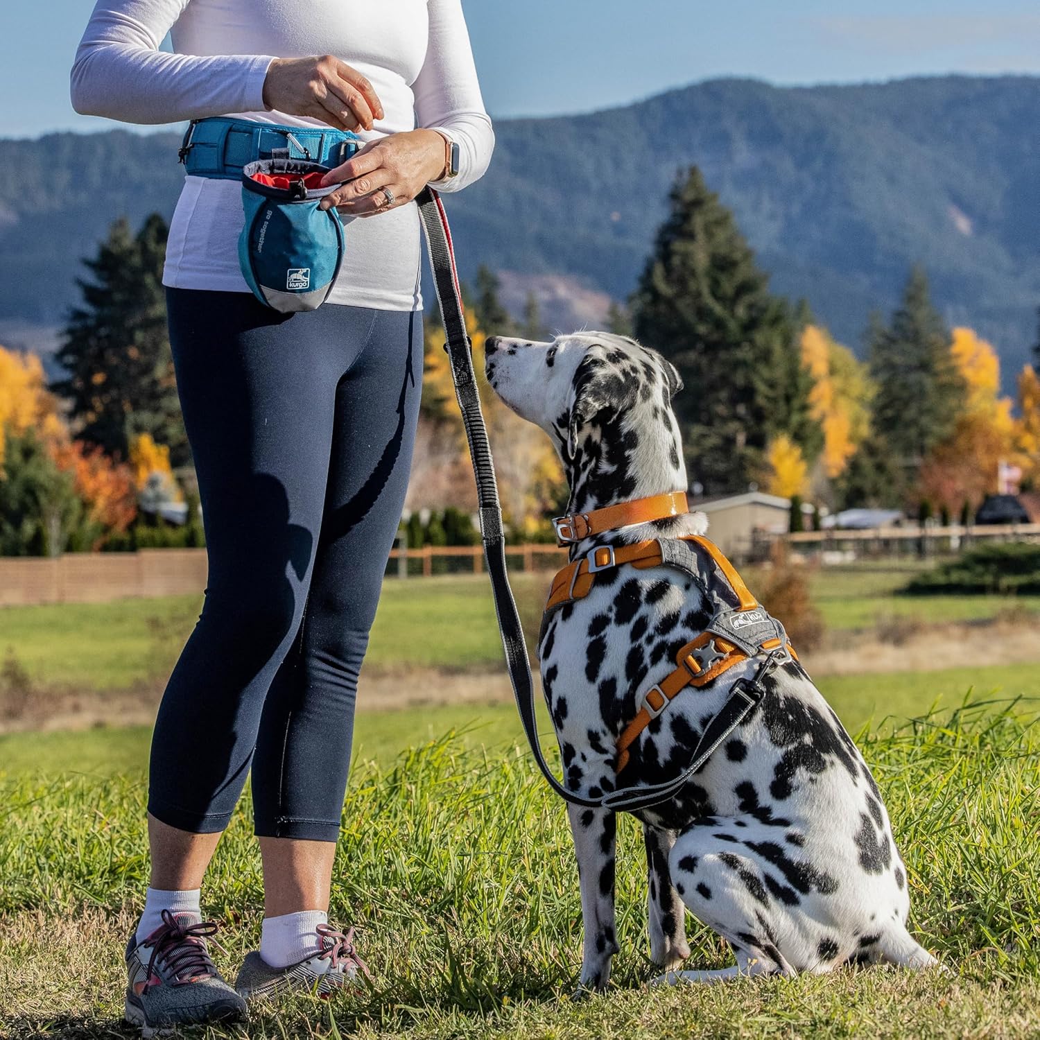 Kurgo G-Train - Dog Carrier Backpack for Small Pets - Cat & Dog Backpack for Hiking, Camping or Travel - Waterproof Bottom - Ink Blue
