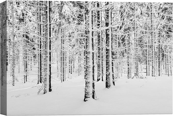 SIGNWIN Canvas Wall Art Winter Snow Covered Birch Trees on The Hillside Nature Forest Modern Art Traditional Scenic Dramatic Black and White for Living Room, Bedroom, Office - 16x24 inches
