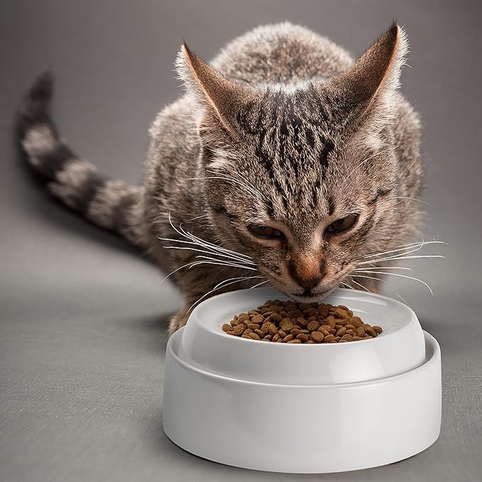 CatGuru Cat Bowls, Whisker Friendly Food Bowl - Image 6