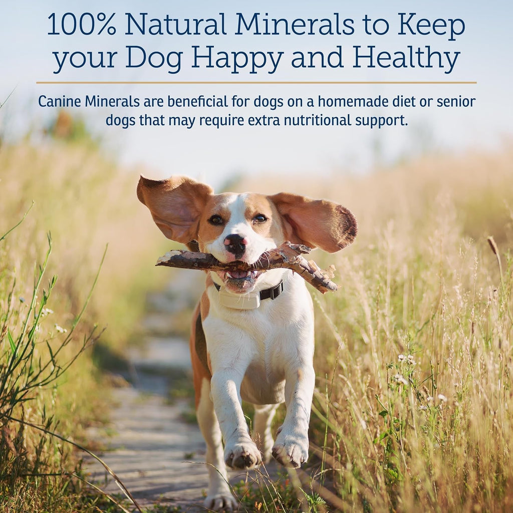 Rx Vitamins Canine Minerals - Essential Minerals for Dogs - Calcium, Magnesium, Iron Supplement, Bone and Joint Supplement for K9, Immune Support - 16oz