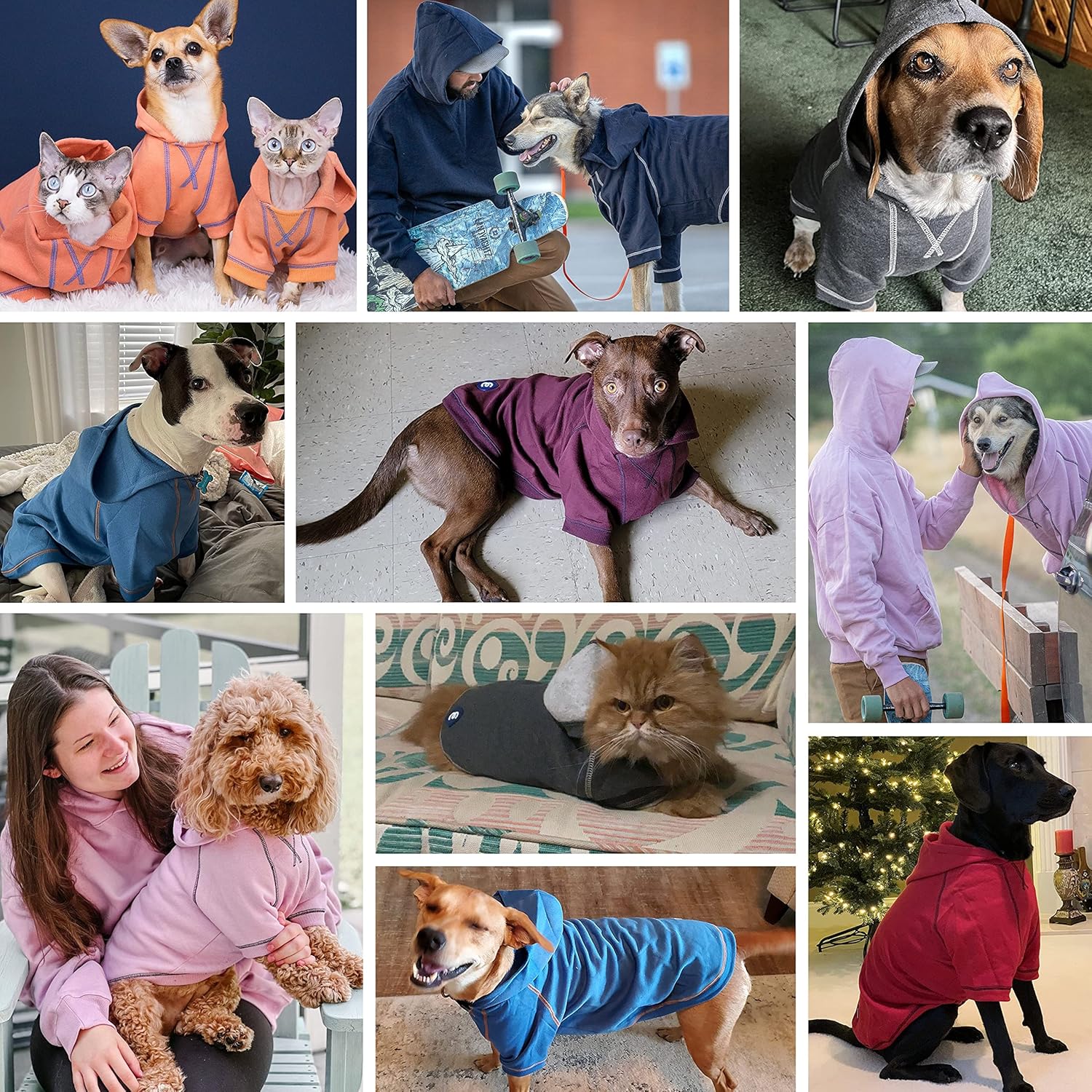 Blueberry Pet Essentials Dog Hoodie – 12 inch, Cotton‑Blend Sweatshirt with Hood, Charcoal Grey, Machine‑Washable Small‑Dog Jersey