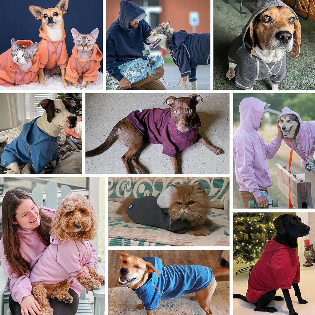 Blueberry Pet Hoodie – 14″ Soft French Terry Chilly‑Season Sweatshirt with Hood, Red, Award‑Winning Small‑Dog Jersey