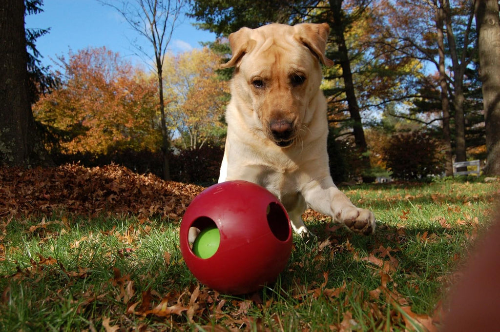 Jolly Pets Teaser Ball Dog Toy, Large/8 Inches, Red (Pack of 2)