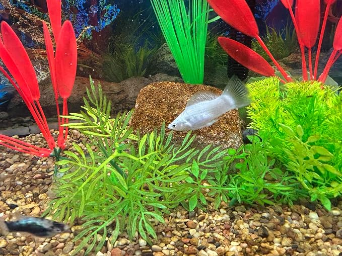 Aquarium Stone for Natural Water Clarification and Odor Removal Featuring - Image 5