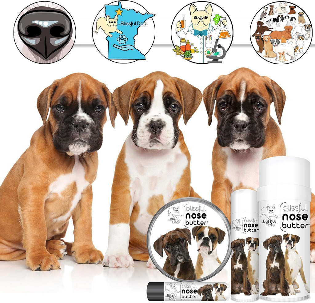 The Blissful Dog Boxer Duo Nose Butter for Dry, Cracked Skin, Lick-Safe Dog Nose Balm with Moisturizing Shea Butter, Almond, Olive, and Essential Oils, Pet Supplies, Uncented, 0.50 oz.