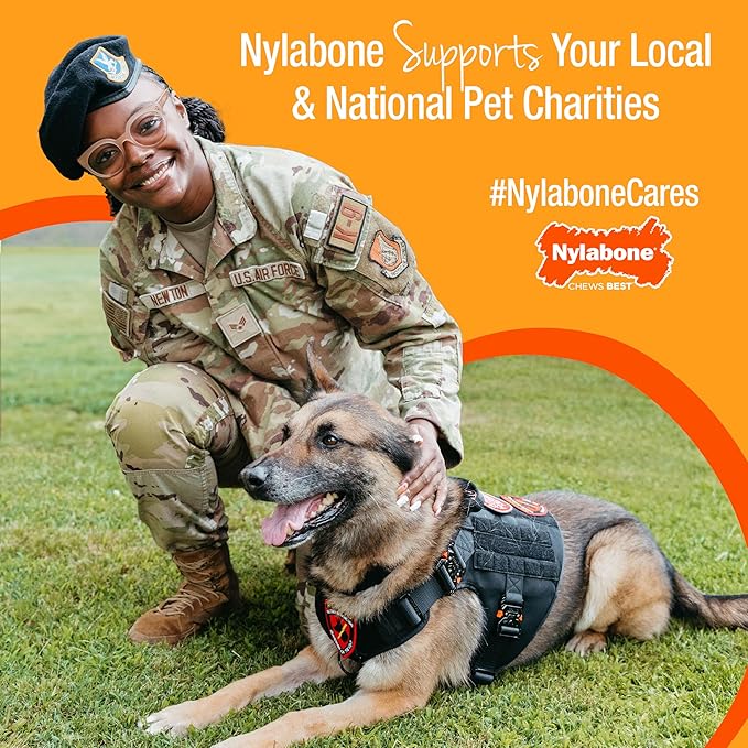 Nylabone Pretzel Power Chew Toy - Image 13